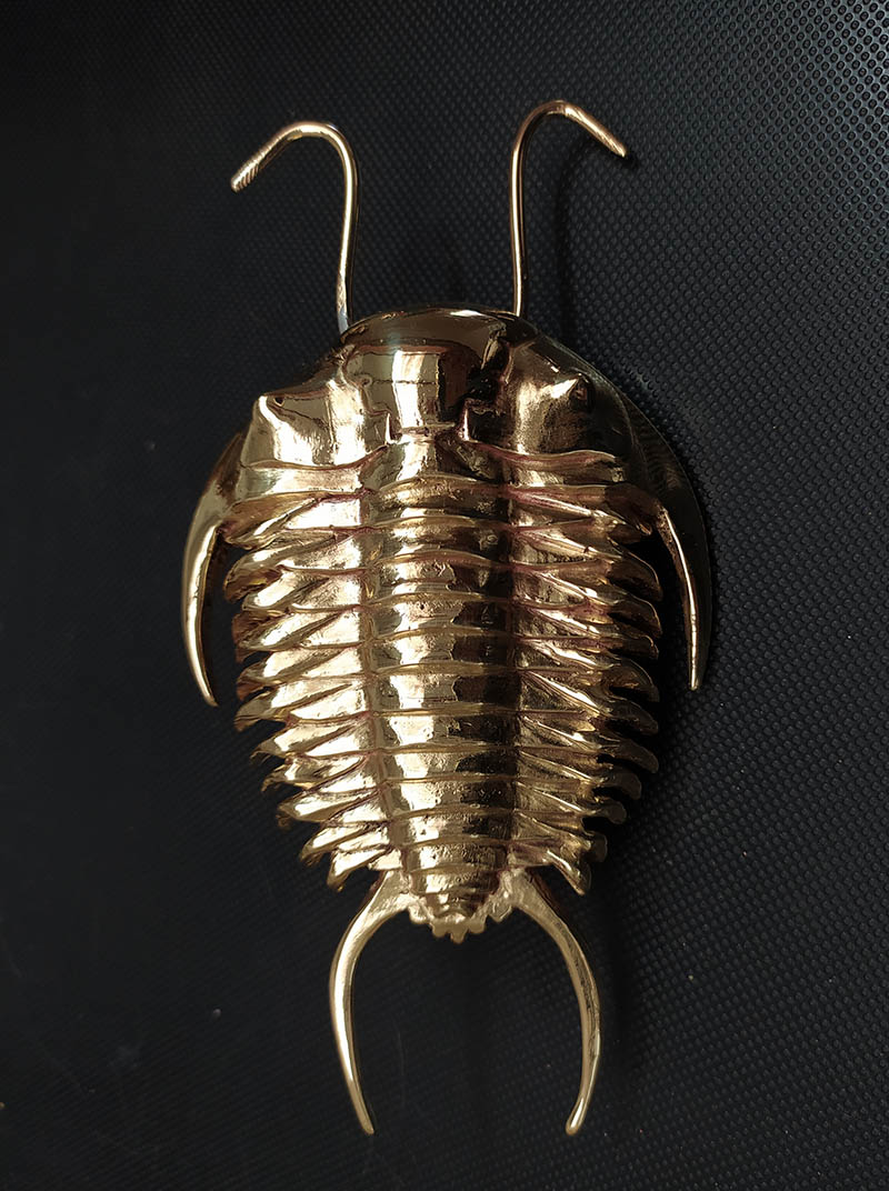 trilobite